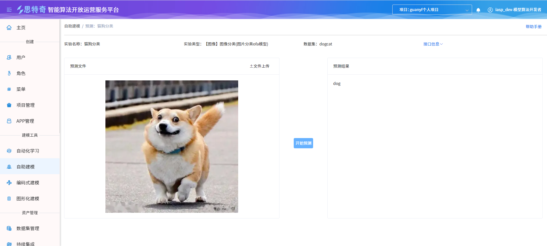 自助建模_预测_分类